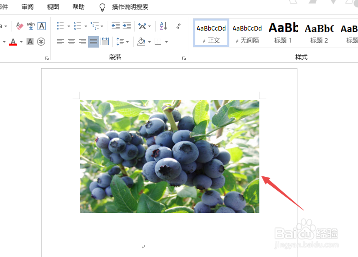 word2007如何裁剪图片