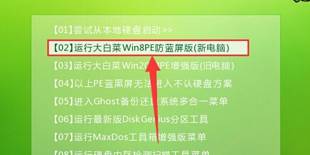 大白菜PE系统文件暴力删除工具的教程