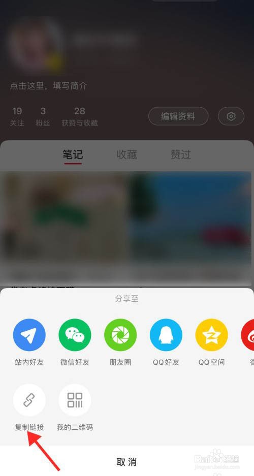小红书主页链接怎么复制