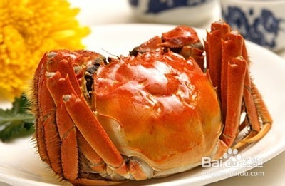 螃蟹和什么不能一起吃_吃螃蟹的注意事项!