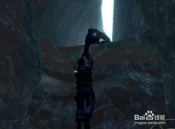 分裂细胞游戏心得体会