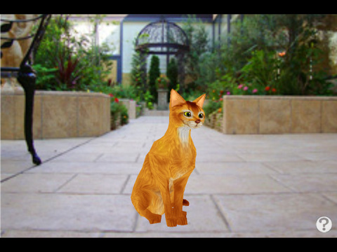 触摸式宠物猫逼真阿比西尼亚猫3D