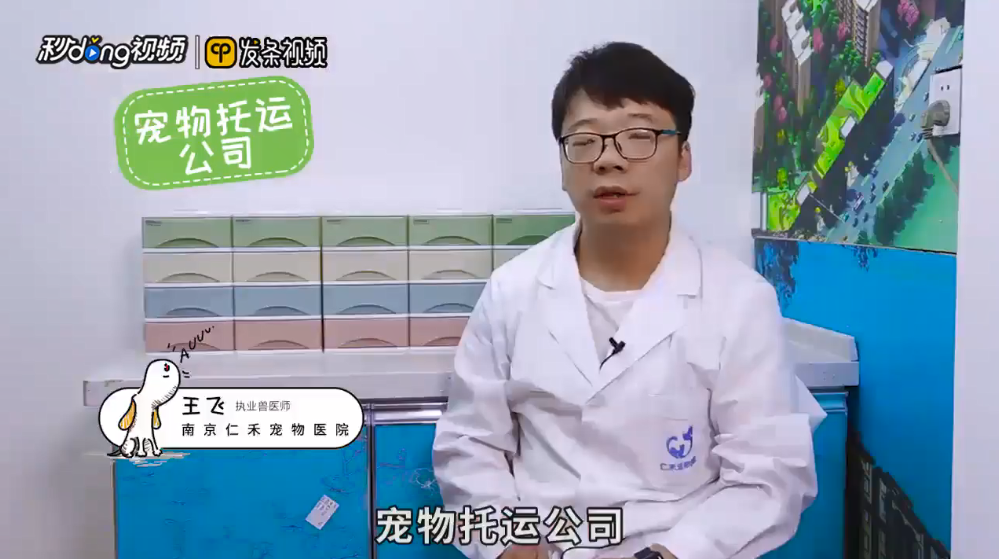 宠物狗可以带上火车吗