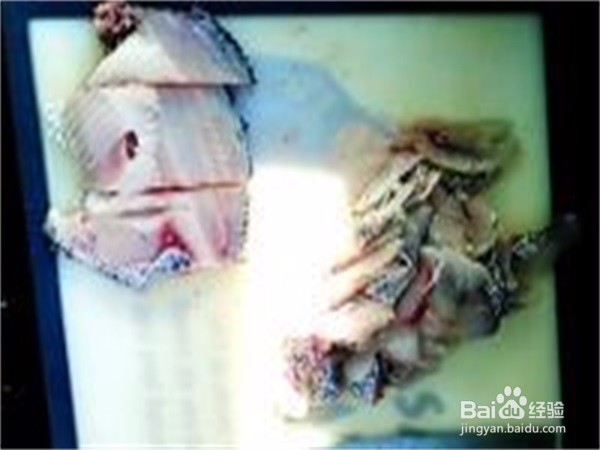 怎样做川味麻辣水煮鱼