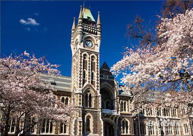 如何选择新西兰的大学