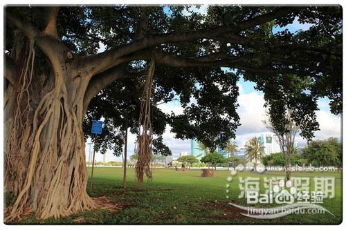 夏威夷自驾之旅