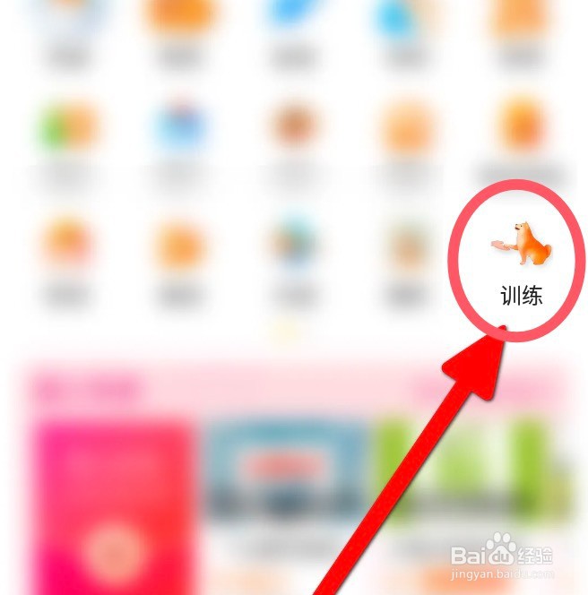如何训练小鹿犬