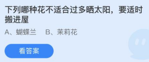 下列哪种花不适合过多晒太阳？蚂蚁庄园最新答案