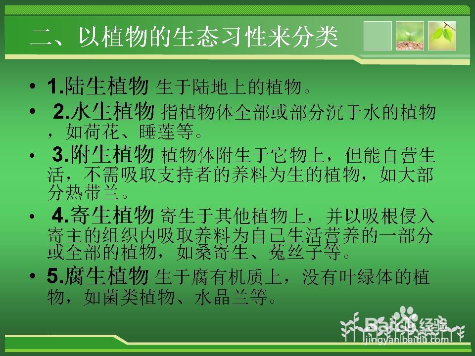 植物的分类介绍