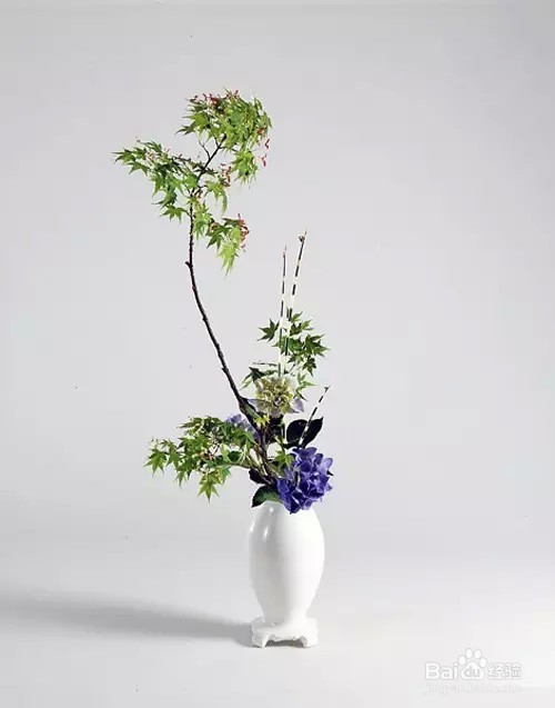 花道-融入生活的优雅