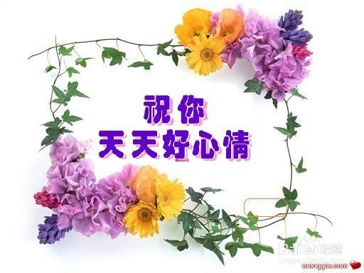 《3D豪情》让你怎样保持好心情