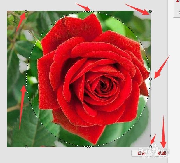 怎样利用美图秀秀将图片设置成圆形？