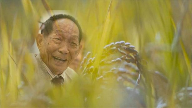 人民日报对偶像的定义是什么
