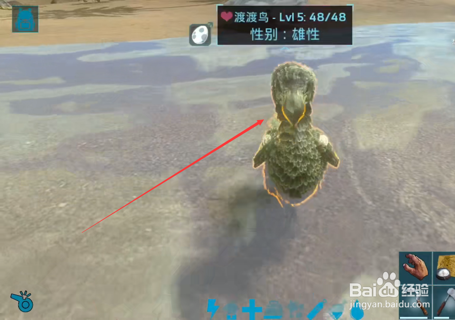 方舟毒箭怎么做