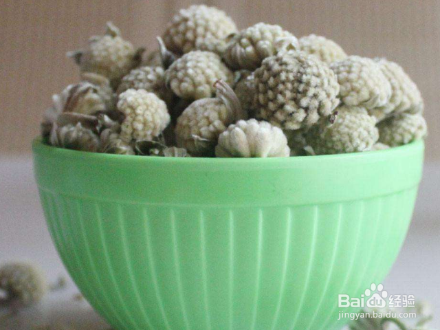 绿萝花有什么作用？