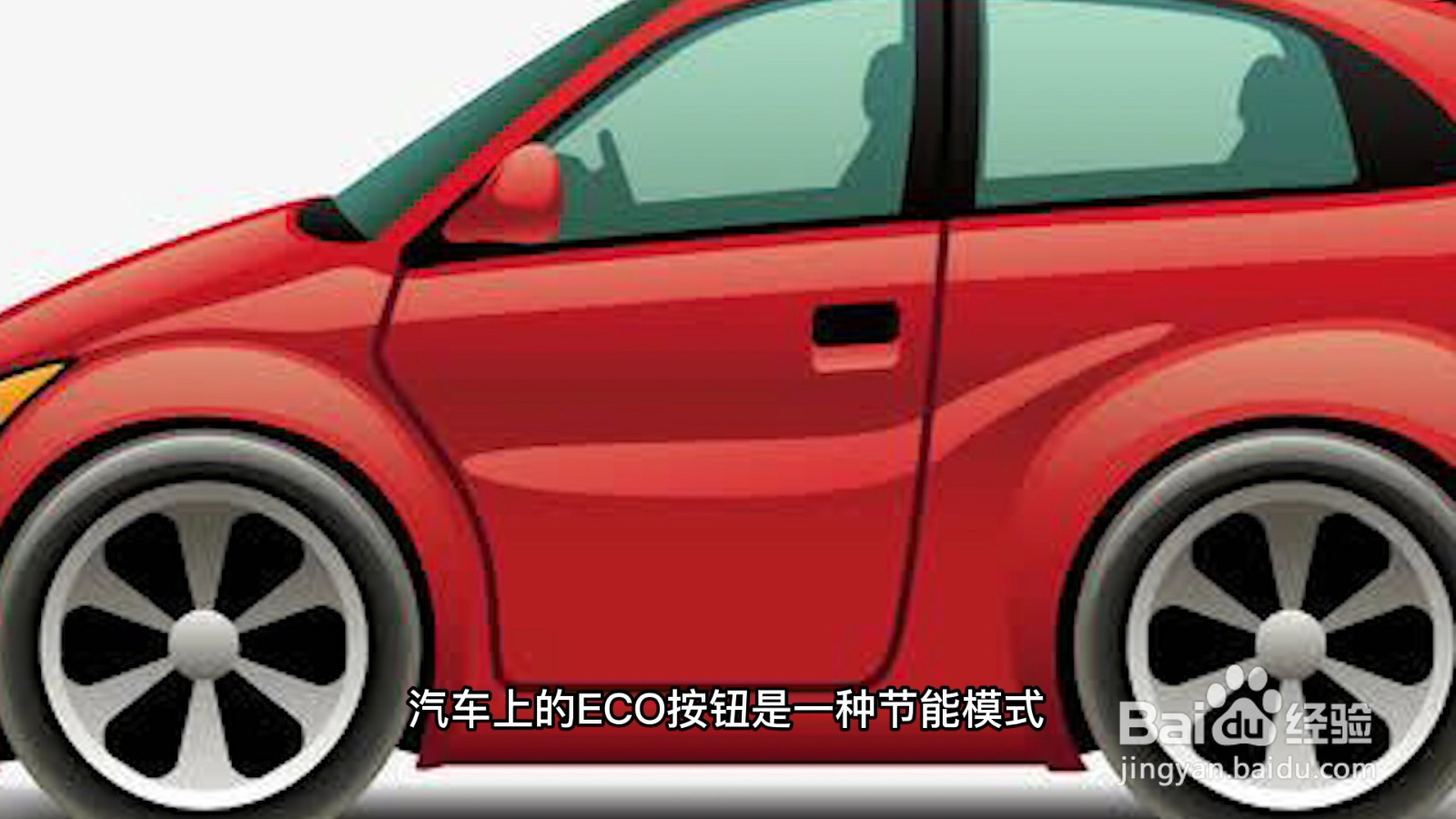 eco是什么意思