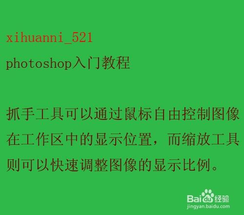 photoshop入门教程:[12]抓手工具和缩放工具