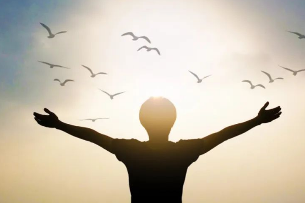 类似工作和生活的平衡的感悟有哪些