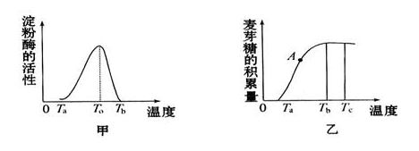 唾液淀粉酶活性的观察的注意事项