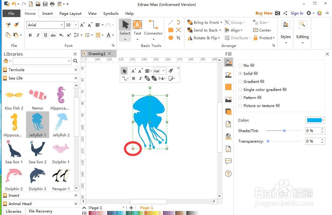 怎样在Edraw max中创建水母图
