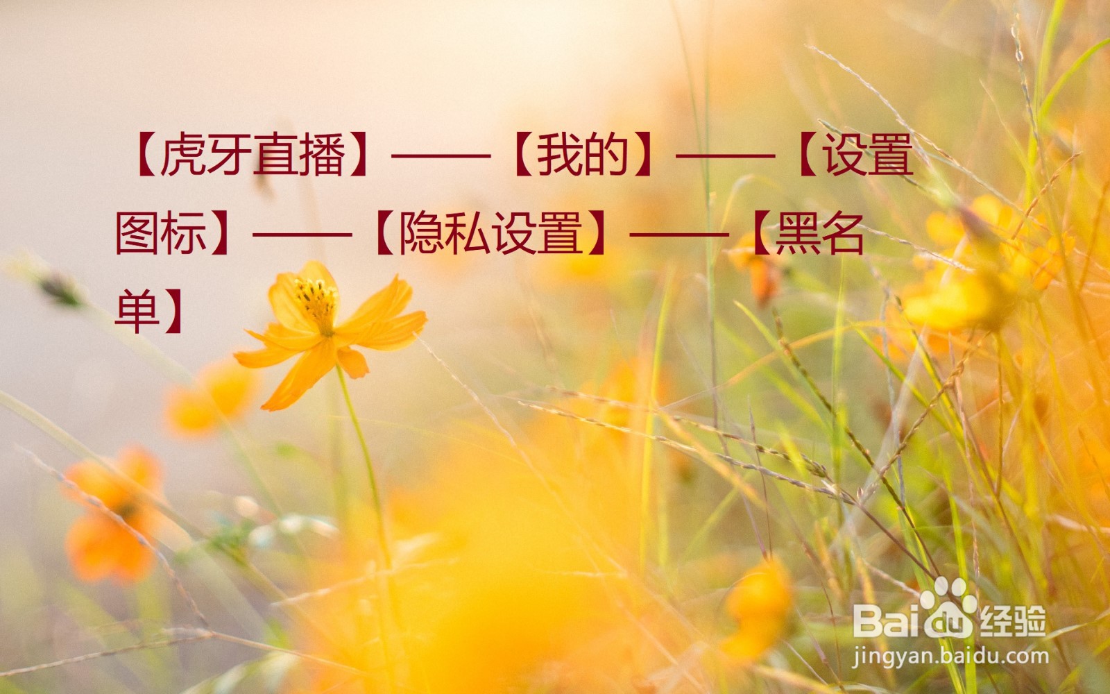 虎牙直播怎么查看自己的黑名单?