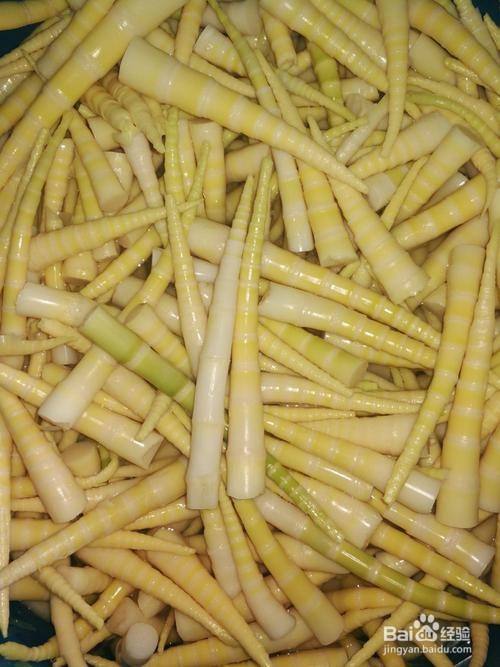 水竹笋怎么保存时间长