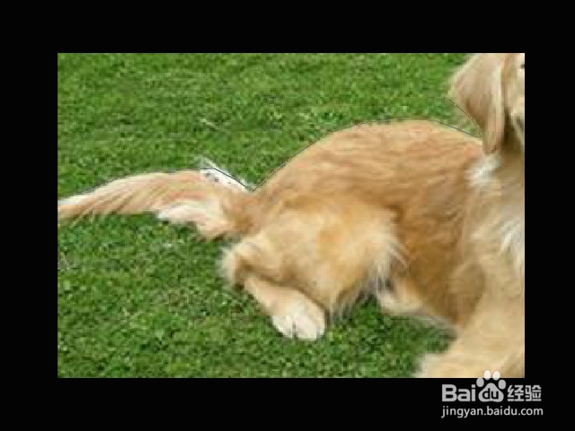 Photoshop怎么抠图