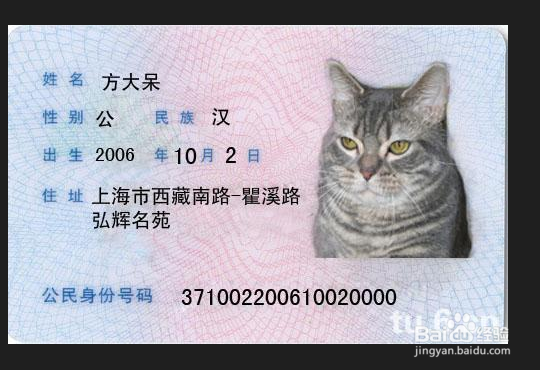 租房子需要双方提供什么材料 有什么需要注意的
