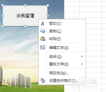 利用VBA代码涂鸦蜜獾