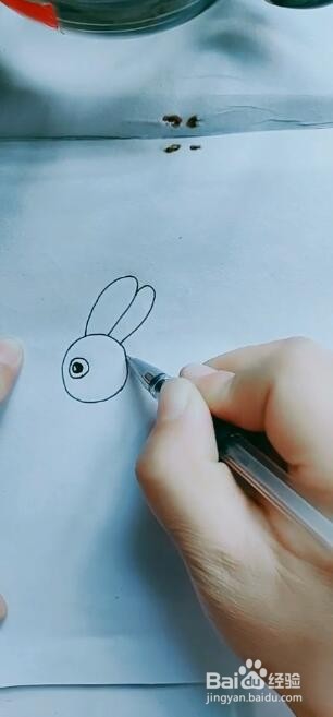 如何画简笔画小兔