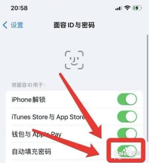 怎样让苹果手机密码自动填充