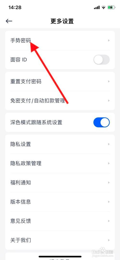 如何开启iPhone11pro天星金融手势密码