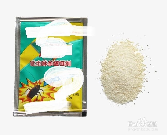如何灭蟑螂最有效