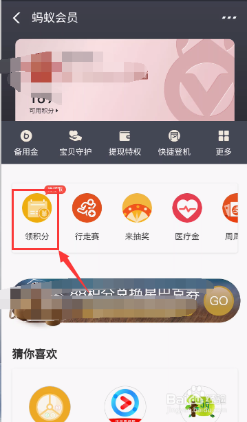 蚂蚁会员积分怎么领取