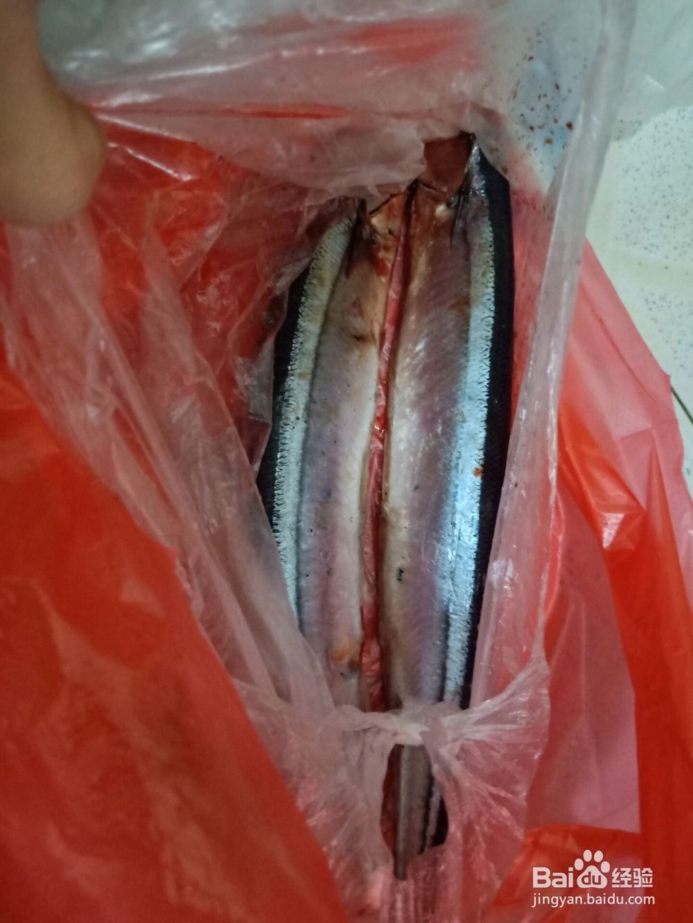 油煎香辣秋刀鱼怎么做