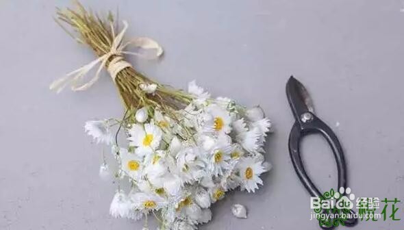 小清新的鲜花花束插花技巧图解