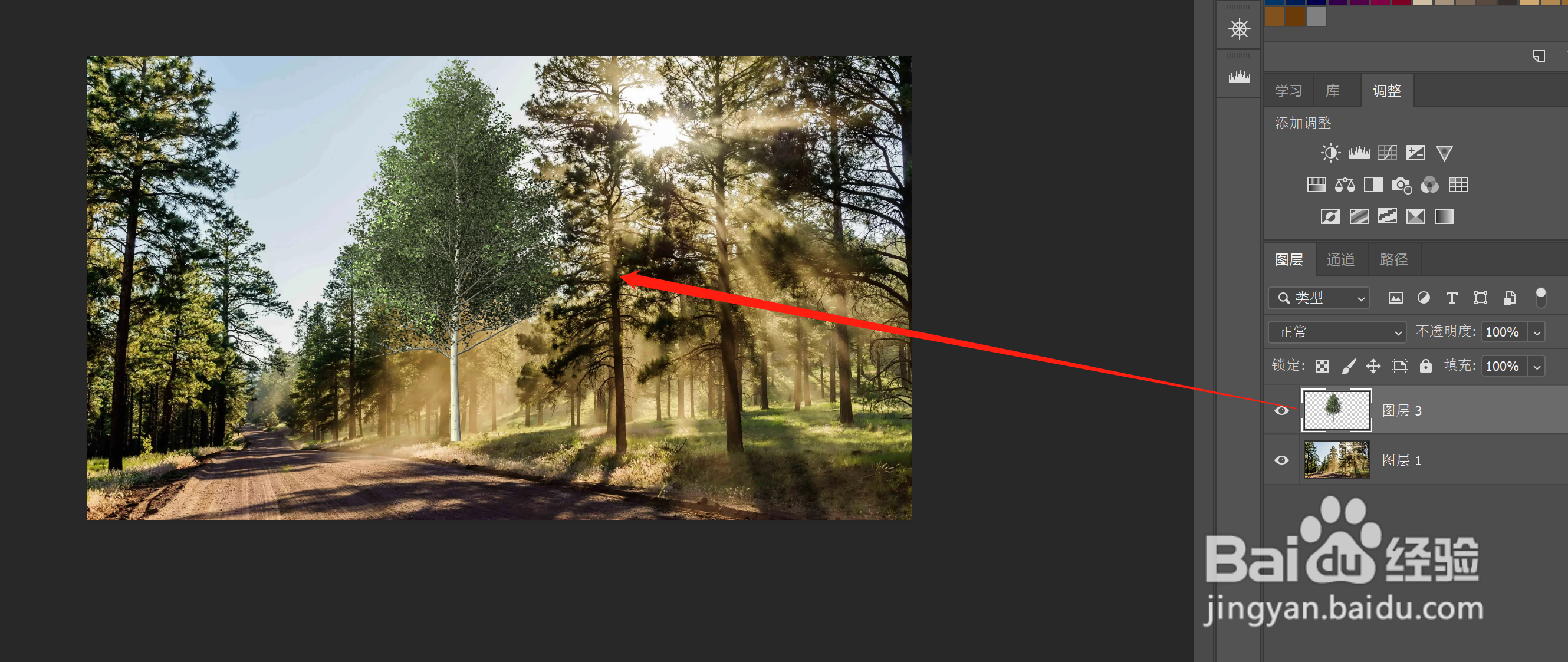 ps怎么制作白杨树