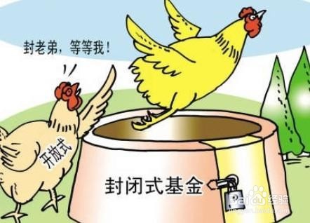 如何选择适合投资的基金