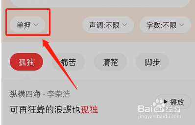 网易云音乐怎么打开歌词押韵助手