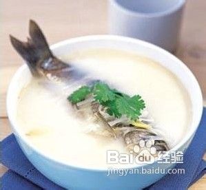 怎样食用白术以及其功效