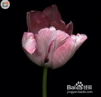 从原理到手段,靠谱且适合你的避孕措施