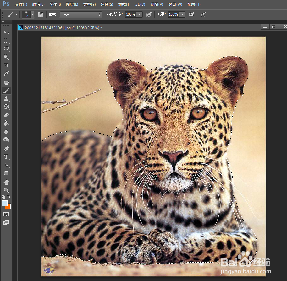 复杂背景下ps如何快速抠图换背景？蒙版快速抠图