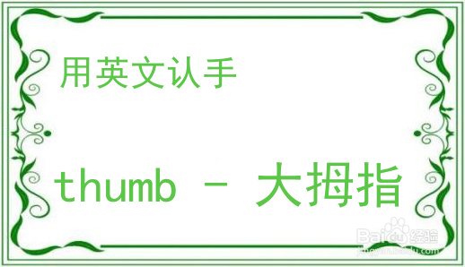 教你用英文认手