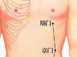 如何照顾自己的肝脏