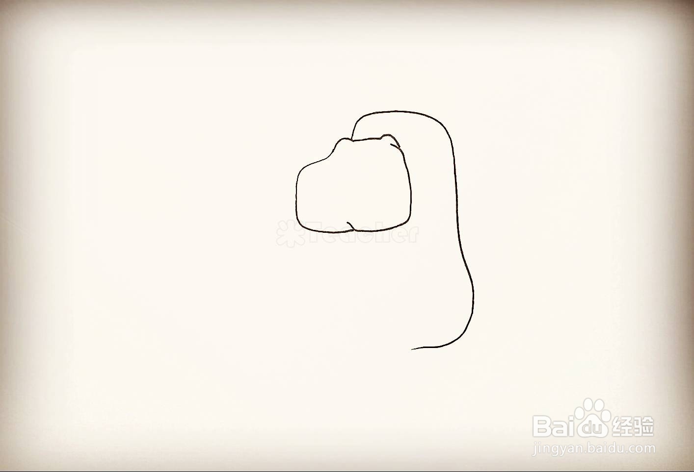 如何画一只海狮