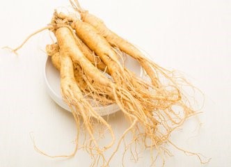 怎样识别假人参