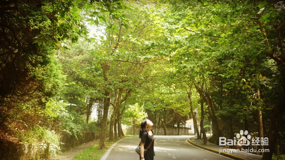 用卡片机也能拍出单反的效果