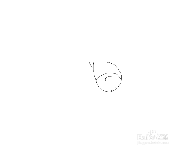 骡子就是申哥如何画