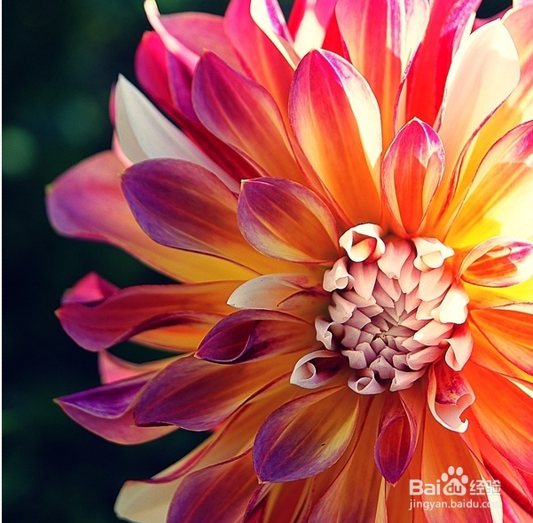 联通3g卡怎样包流量