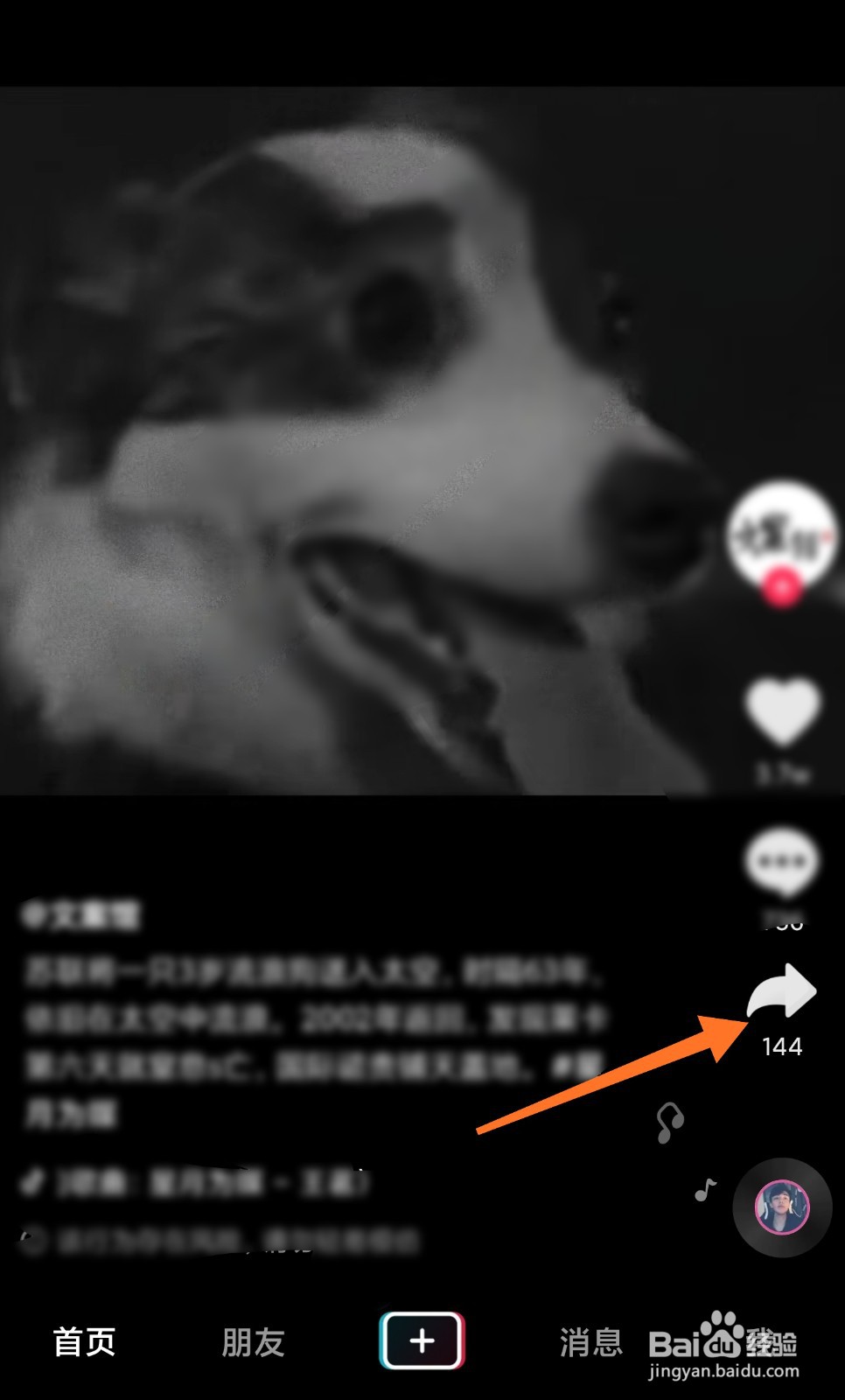 怎样举报抖音作品